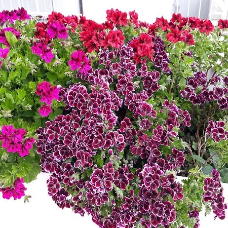 South Side Paradise - Marjan Hill Apartament Split