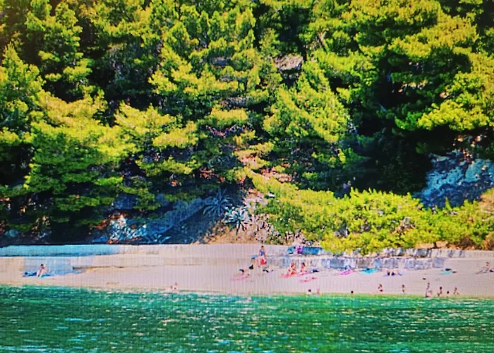 Angie 2 - Marjan Hill