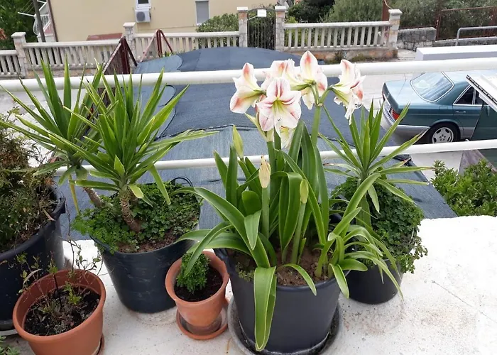 Angie 2 - Marjan Hill 스플리트